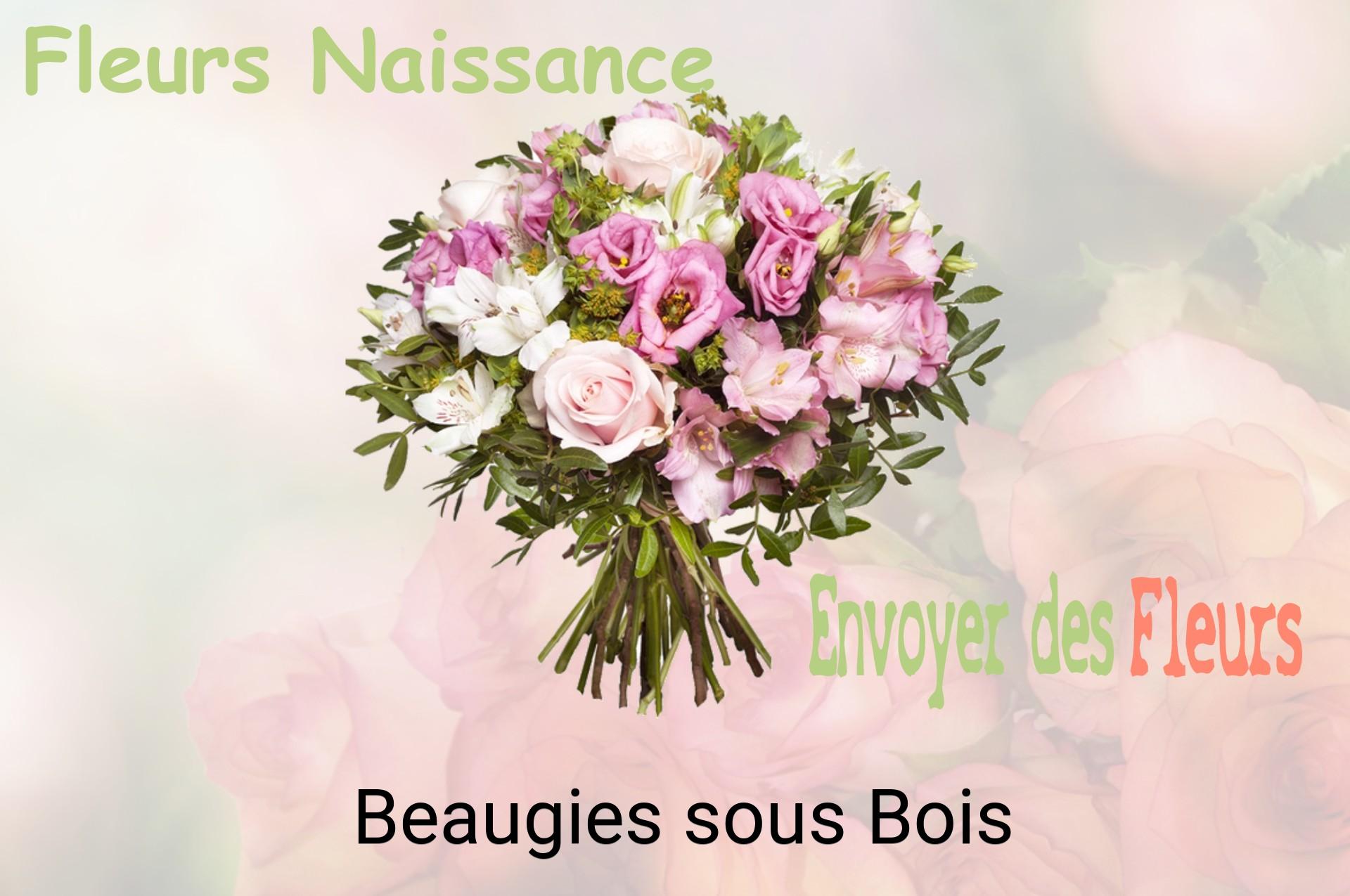 Bouquet de fleurs de naissance livré à Beaugies-sous-Bois